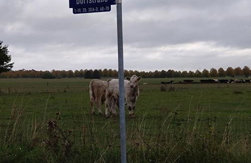 moderne Wohlfühlwohnung auf einem Dreiseitenhof - Photo 14