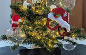 Ferienwohnung Altendorf - Foto 14