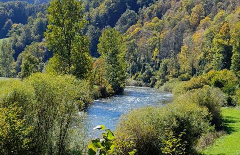 Soubey (Clairbief) - Foto 17