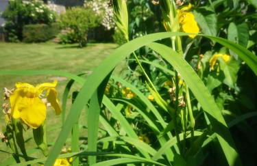 Gites Ferme de la Baie - Foto 79