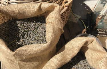 Mas de la Sacristière - Photo 22