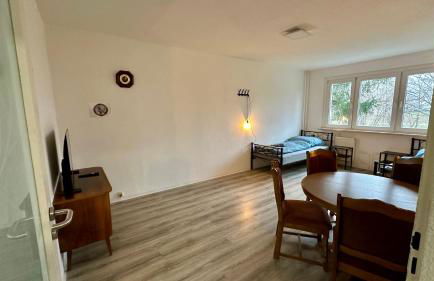 MiCasa TuCasa - 3-R Apartment Leipziger Neuseenland Mira - Foto 11