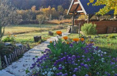 Apartman Sveti Rok - Foto 21