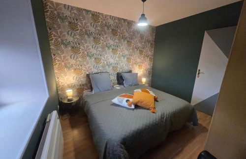 O'bocolecha - Foto 35