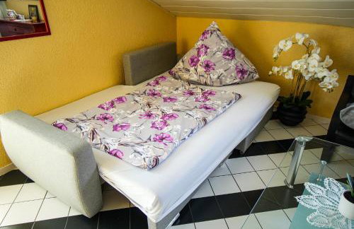 Schönes Studio in der Rheinebene, zentral gelegen - Foto 3