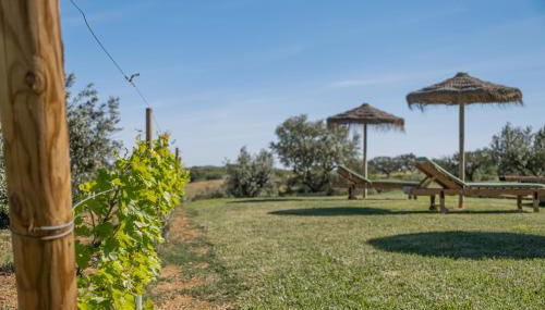 Alandroal Nature & Pool Retreat - Foto 5, Garden, Garden view