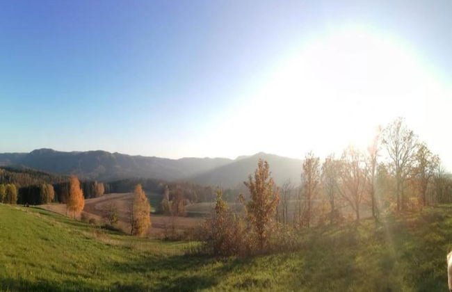 Wohnung in Lichtenhain mit Teich - Foto 31