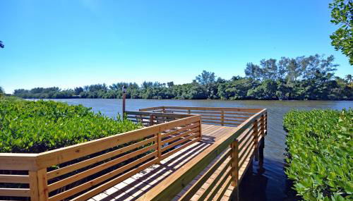 Siesta Heron 5 Key Lime - Foto 4