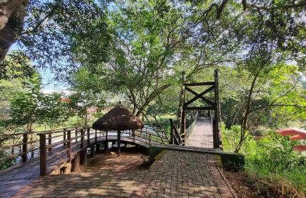 Piscina, jardim, área gourmet e vista arborizada - Foto 60