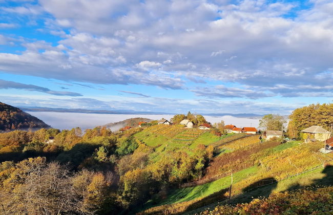 Vineyard cottage Soncni gric - Foto 33