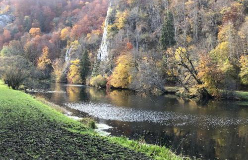 Ferienwohnung Jardin de lavande - Foto 22