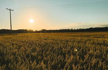 Dorfplatz Suite mit Weitblick, ganz neu und unfassbar gemütlich 10 min von Rothenburg ob der Tauber - Foto 17