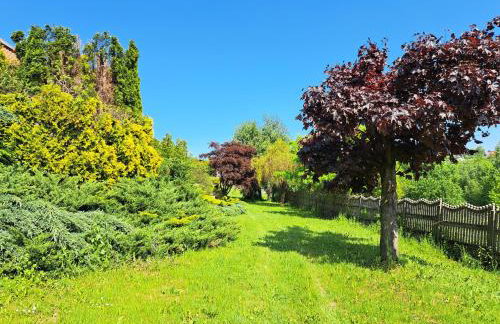 Brzozowy Zakątek - Foto 58