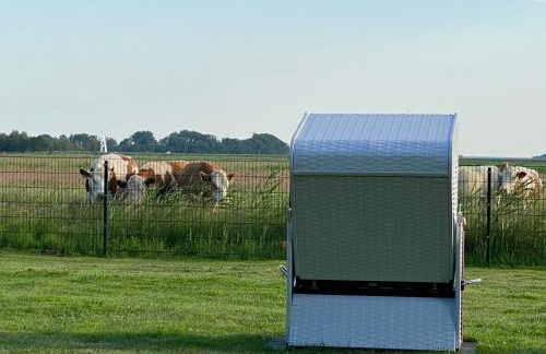 Zingst Haus Hugo - Foto 2