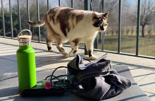 Pet and Breakfast Pet Friendly Country House - Foto 39