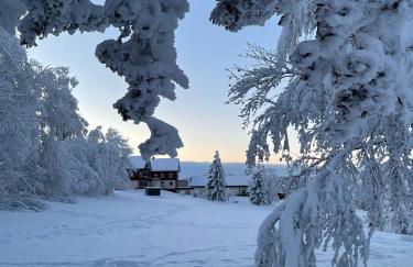 Gemütliche Ferienwohnung Harz Braunlage Hohegeiß - Foto 1