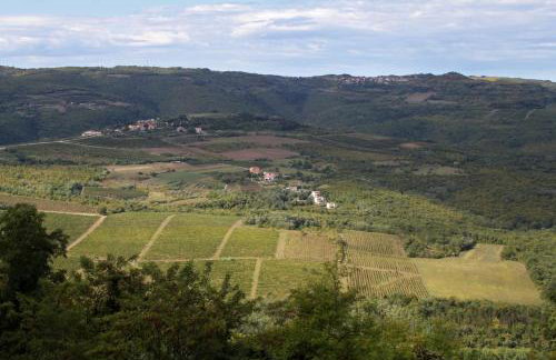 Apartments with swimming pool Motovun - Bataji, Central Istria - Sredisnja Istra - 7069 - Foto 33