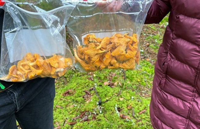 Holiday Home Hus Rusken - Foto 19