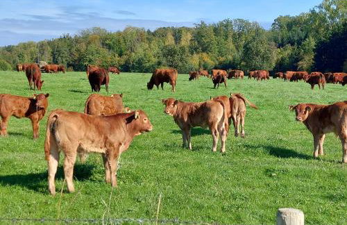 Schillerstüble - Foto 15