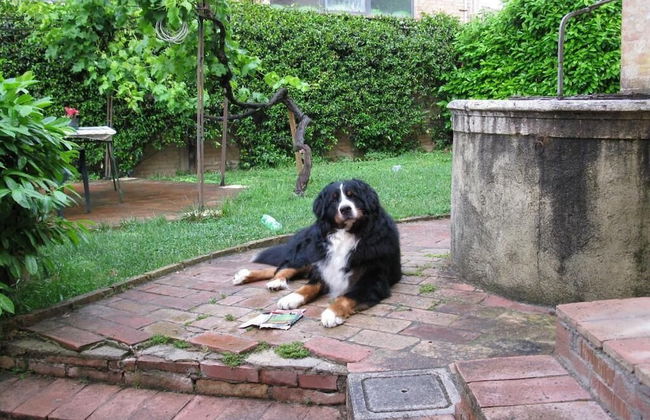 Il Pozzo di Sant'Andrea - Foto 46