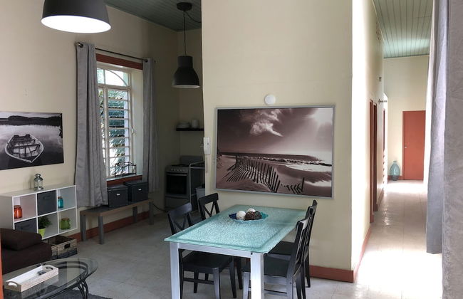 Gladiolas 1 209 - Foto 13