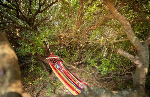 Villa s'ena e su juncu - Foto 43