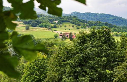 MASARI ALLA CASA ROSSA Vineyard guest house - Foto 6