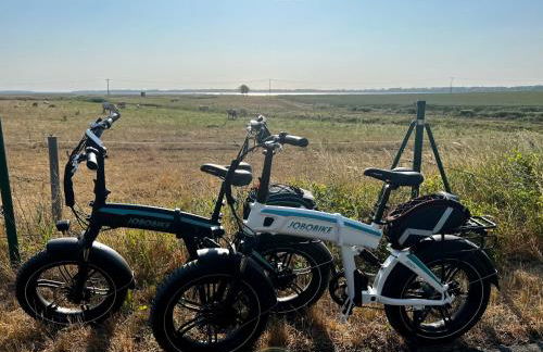 Apartment Klabautermann - Foto 21