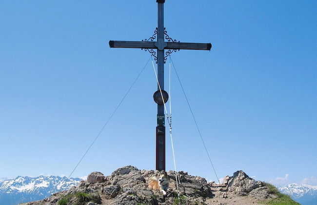 Apartment in Wildschonau by Schatzberg Lift - Photo 12