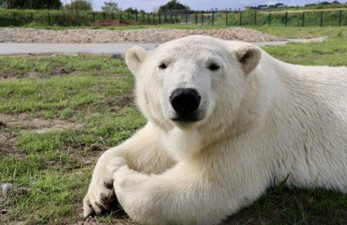 Barn-Sleeps 2-Parking-Near Alton Towers Peak Dist - Foto 27