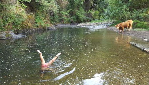 El Chalet de la Poza - Río, barbacoa, Wifi, zona de trabajo, vistas. - Foto 2