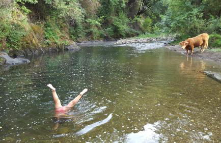 El Chalet de la Poza - Río, barbacoa, Wifi, zona de trabajo, vistas. - Photo 2