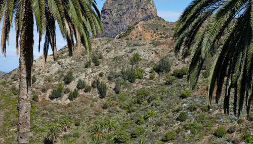 Casa Rural El Cabezo - Foto 5