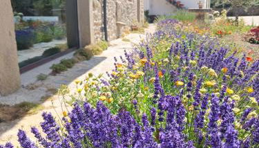 Casa D'Augusta - Agroturismo - Foto 5