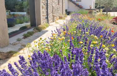 Casa D'Augusta - Agroturismo - Foto 5