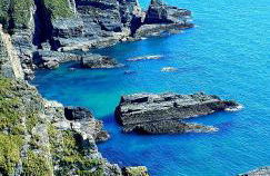 Ty Farm Retreat - Farmhouse Studio - Mountain View - Foto 21