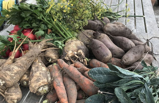 Strandsegård Ferielejligheder - Foto 69