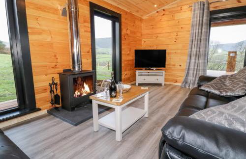 Bryn Eiddon Log Cabin - Photo 10