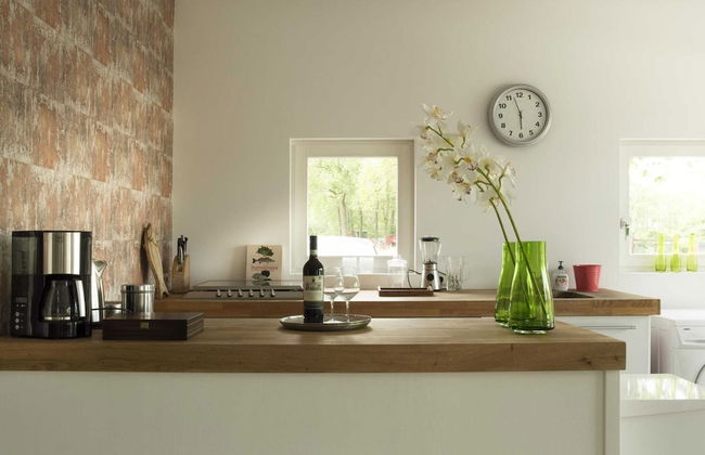 Serene Holiday Home in Haaksbergen With Hottub - Foto 6