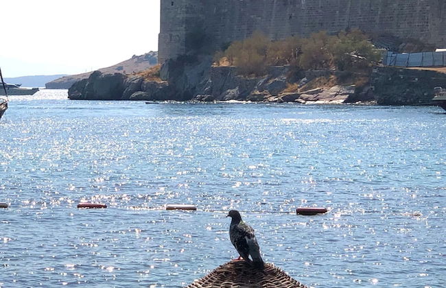 Surfer Caravan Gastro Pub and Suites - Foto 30