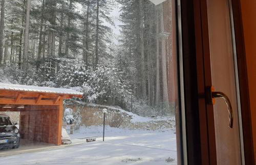 Dimora nel bosco - Foto 50