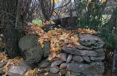 El Bulín de Braojos - 3 Casas - Foto 72