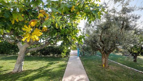 Villa Marchetti - Foto 5, Garden