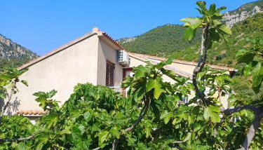 Apartman Mihaela - Foto 4