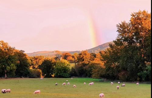Idyllic Country Cottage South Downs - Photo 15