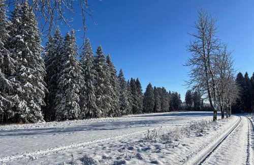 Berghütte Astenpanorama - Foto 37