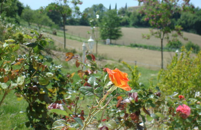 Panoramic Villa Italy Just few Minutes Drive From the Beach - Foto 14