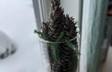 Ferienhaus Rennsteiggruss - Foto 27