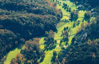 The Country Squire - Photo 58