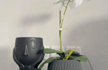 Enchanting Mycenae - Your Greek holiday retreat - Foto 22